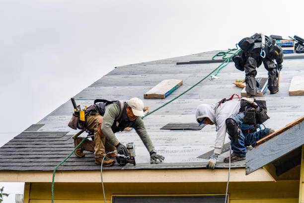 Professional Gutter Installation technician working in Alexander City, AL